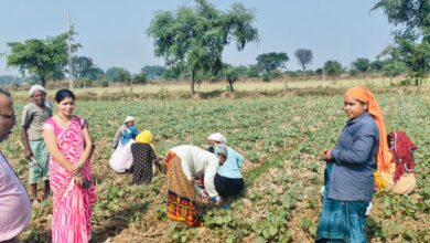 बेमेतरा : आत्मनिर्भर भारत के सपने को साकार कर रहा "बिहान