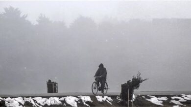 शुक्रवार शाम से दिल्ली, उत्तर प्रदेश, पंजाब सहित हरियाणा में घना कोहरा पड़ा, जिसने आम जनजीवन बुरी तरह प्रभावित किया। पहाड़ी क्षेत्रों