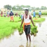 गौरेला पेन्ड्रा मरवाही जिले ने हासिल किया पीएम किसान सम्मान निधि योजना का 80 प्रतिशत लक्ष्य