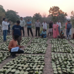 साय सरकार के सुशासन में तेन्दूपत्ता संग्राहकों को मिली आर्थिक मजबूती, 10,160 हितग्राहियों के खातों में पहुँची 1.39 करोड़ रुपये से अधिक की बोनस राशि