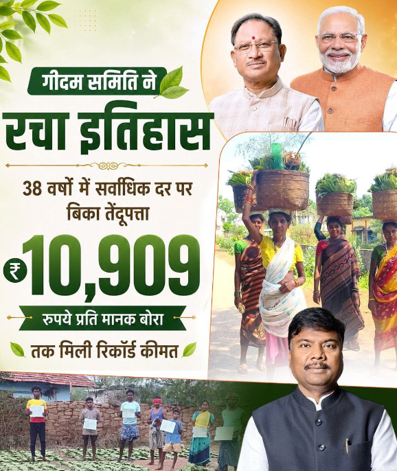 गीदम समिति ने रचा इतिहास, 38 वर्षों में सबसे अधिक कीमत पर बिका तेंदूपत्ता