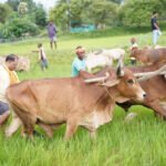अपनी माटी और खेती-किसानी से मुख्यमंत्री श्री विष्णु देव साय का आत्मीय जुड़ाव