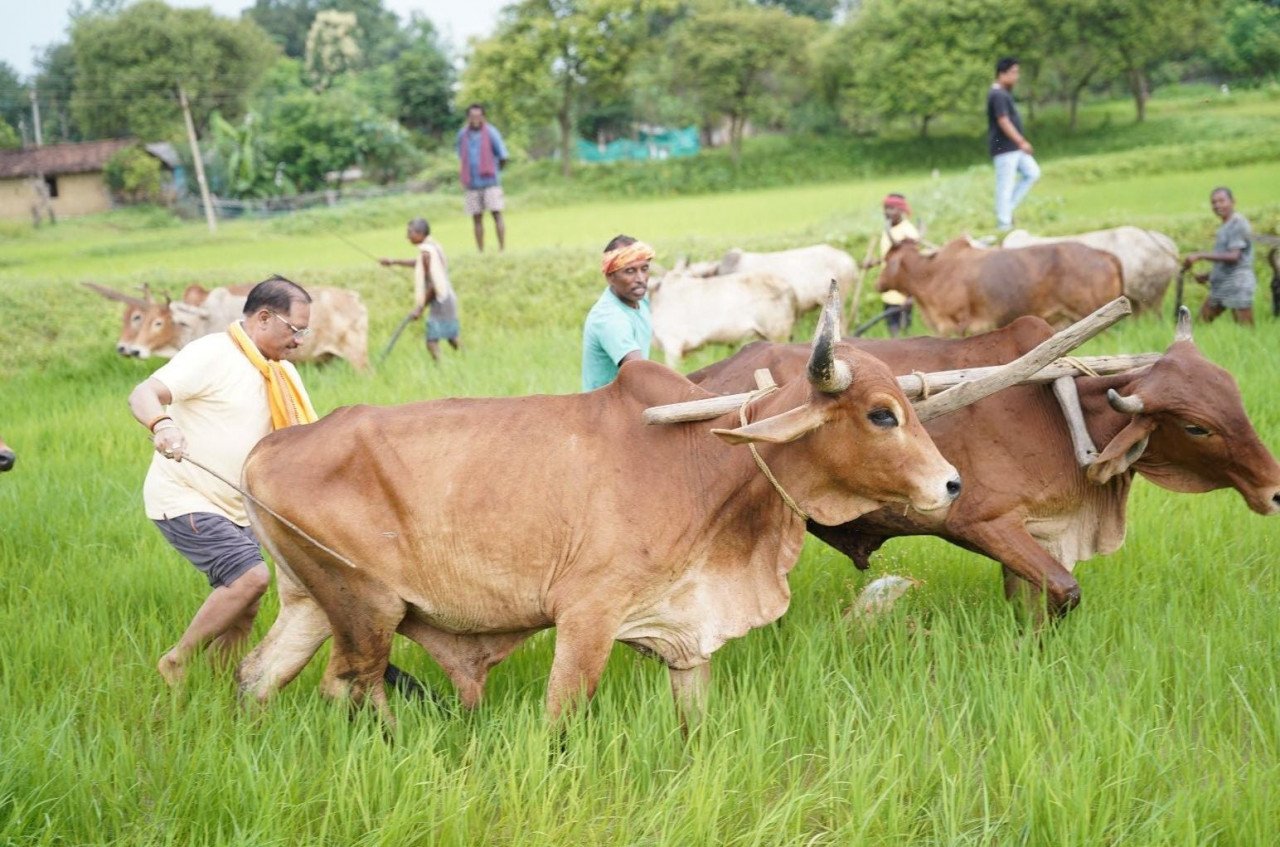 अपनी माटी और खेती-किसानी से मुख्यमंत्री श्री विष्णु देव साय का आत्मीय जुड़ाव
