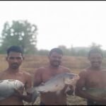 तालाब में पाली मछलियां, मुनाफे से संवारी जिंदगी