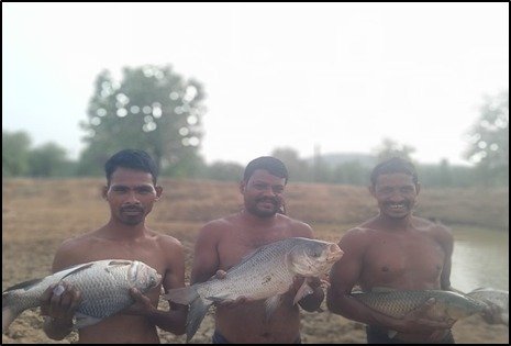 तालाब में पाली मछलियां, मुनाफे से संवारी जिंदगी