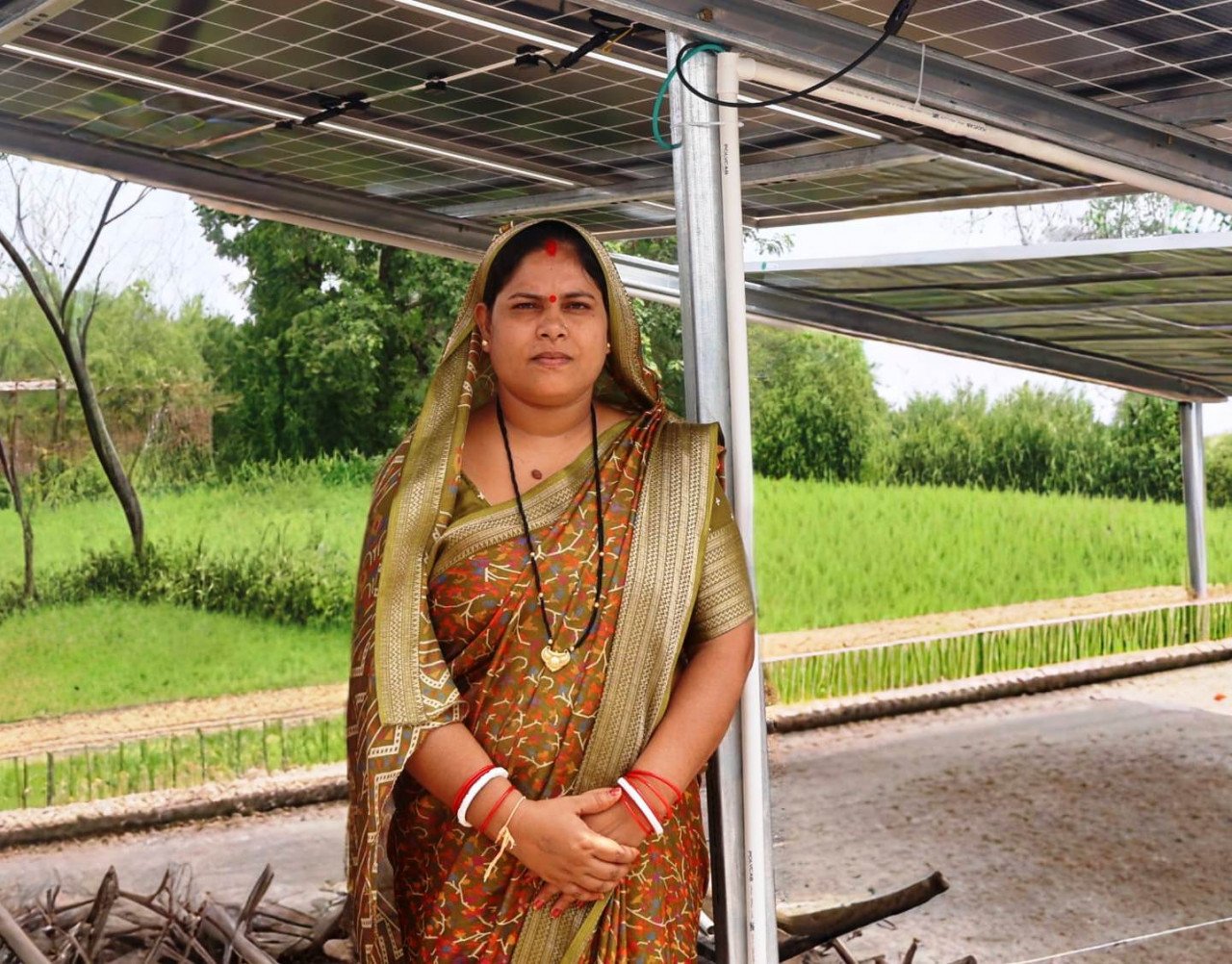 पीएम सूर्यघर मुफ्त बिजली योजना से तारणी घृतलहरे के घर रोशन हुआ सौर ऊर्जा का उजाला