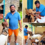 1-2 बकरियों से शुरू किया सफर, बकरी पालन से अब तक 5-6 लाख रुपये की शुद्ध कमाई